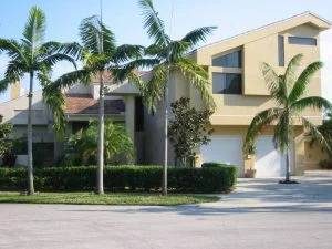 House with palms