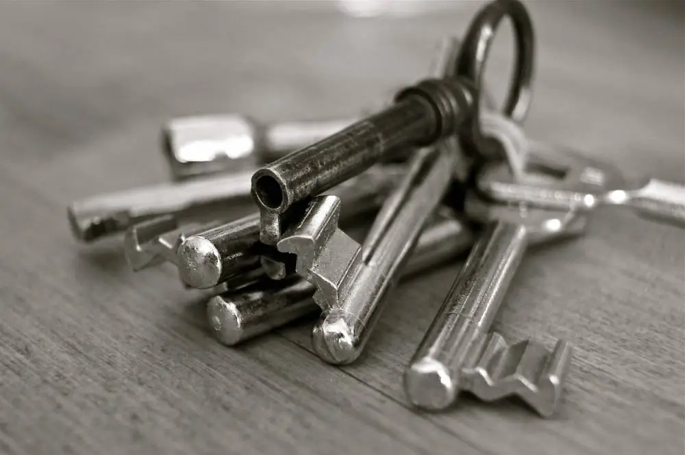 blog image