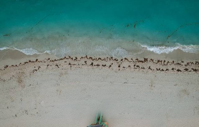 Miami Beach vs Sunny Isles Beach – Which One Do You Prefer?