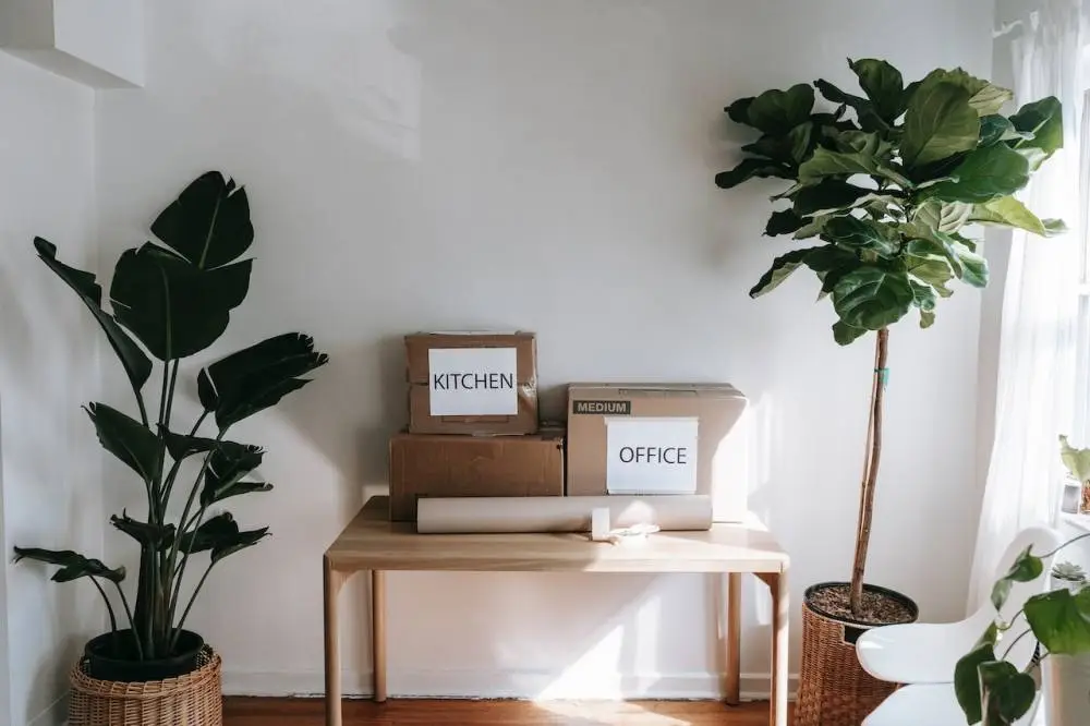 How to pack plants for moving