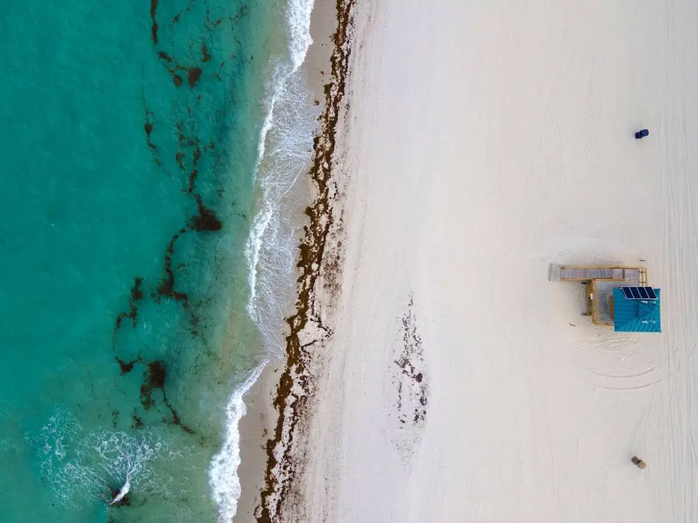 Safety First: Understanding the Potential Dangers at Miami Beaches